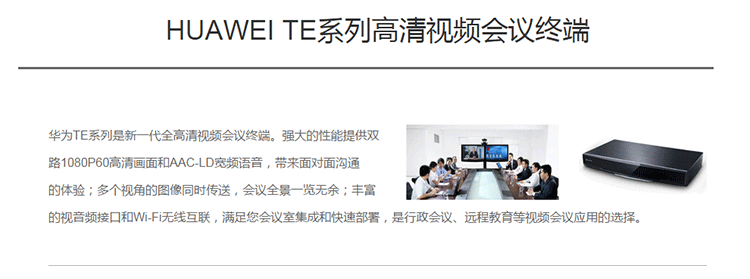 華為TE50-C-高清視頻會(huì)議終端